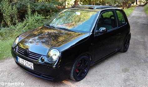 Lupo Sport